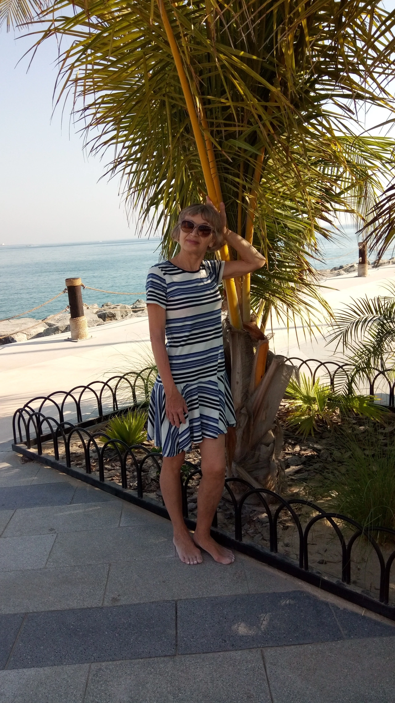 Попутчик Елена