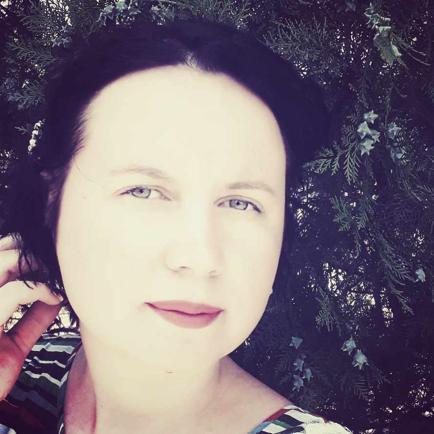Попутчик Алина